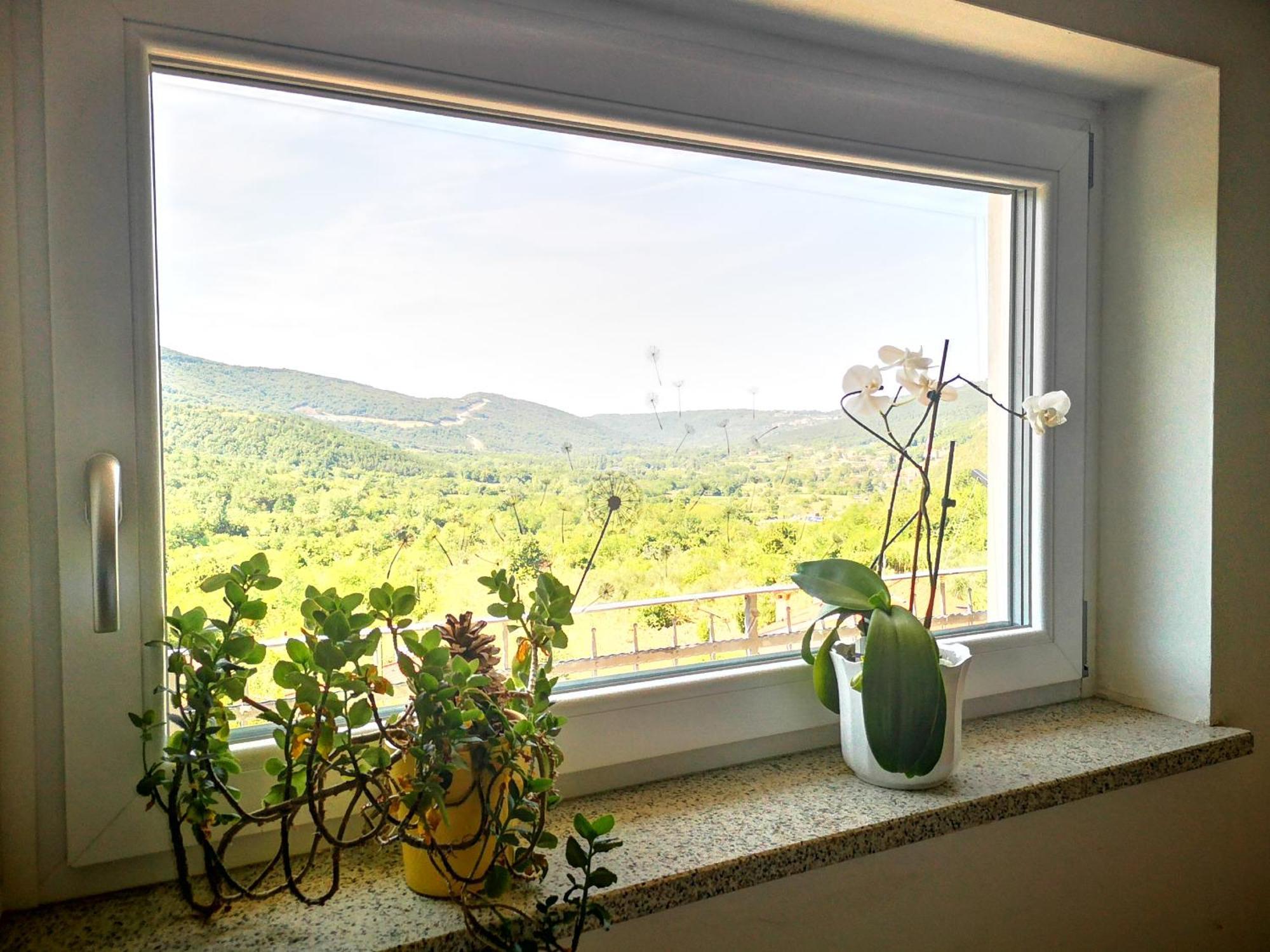 Apartma Ceh Gabrovica pri Crnem Kalu Luaran gambar
